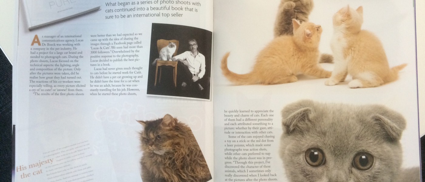 Article in Cat World magazine